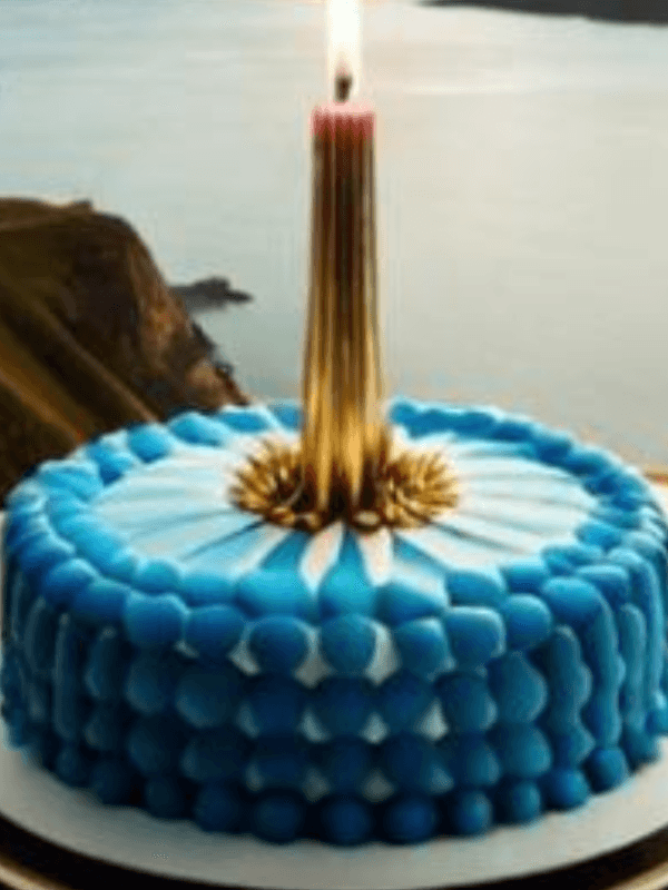Special Occasion cake